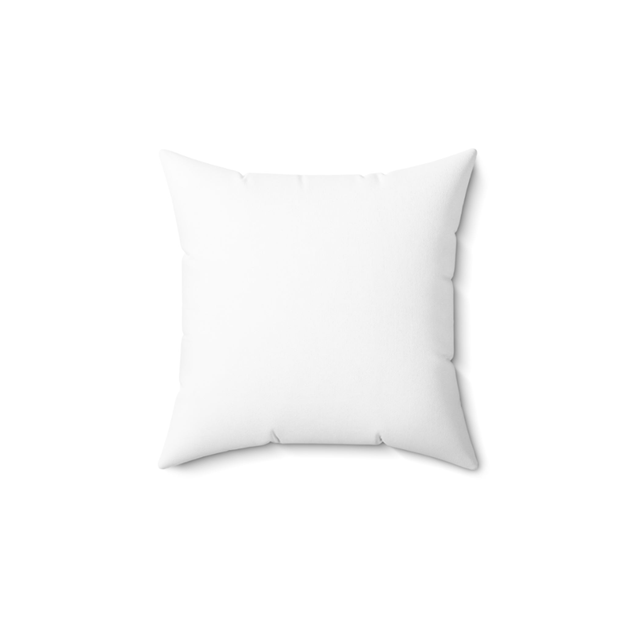 Silica Gel Bag - Pillow